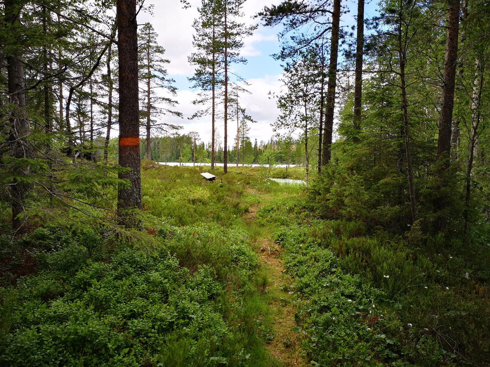 Framme vid Njupfatet