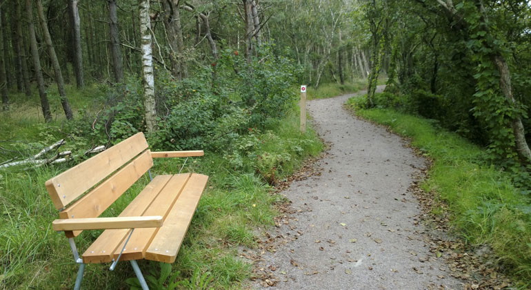 En bänk vid en stig i reservatet