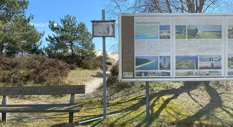 Vid stora parkeringen vid havet.