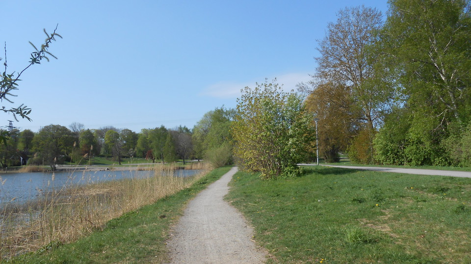 Inre Kyrkviken passeras efter 8 km i Lidingöloppet. Foto Lidingö stad