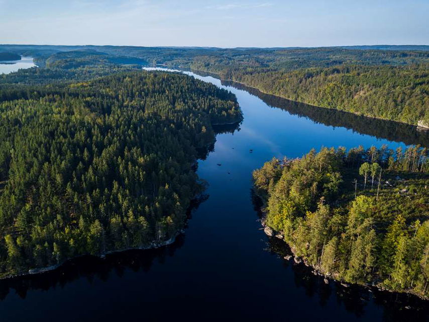 Bild: Sveaskog