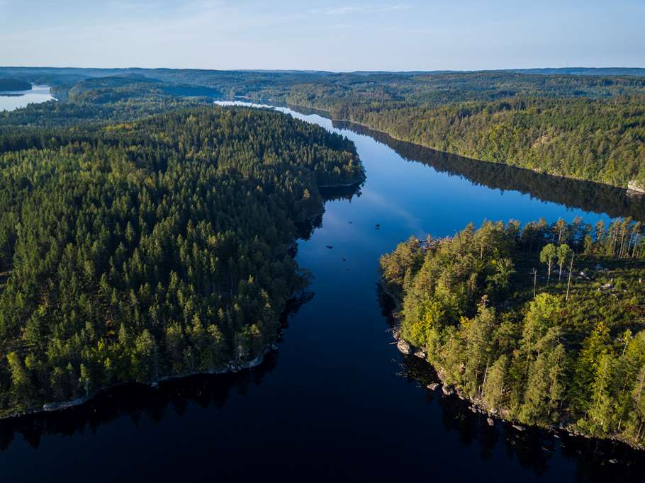 Bild: Sveaskog