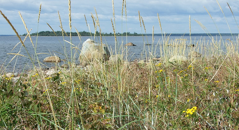 Norr-Äspen.