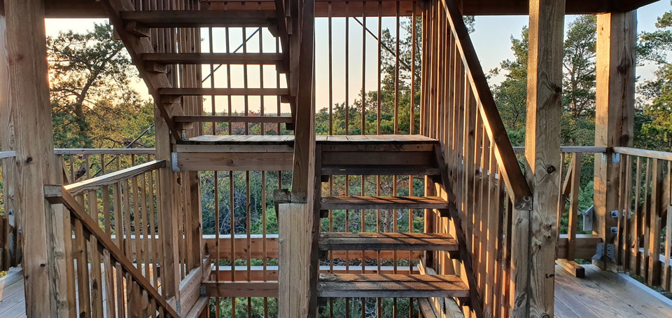 Trappsteg och räcken av trä inuti tornet.