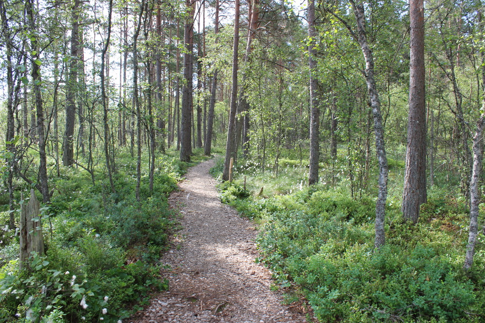 Skirviksstigen