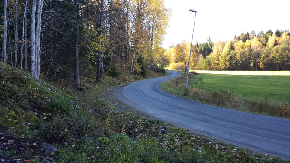 Lovisebergsvägen i riktning mot Flottsbro.