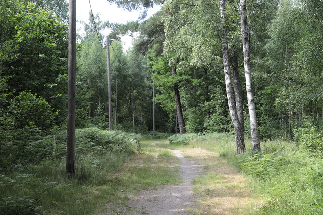 Trekanten motionsspår