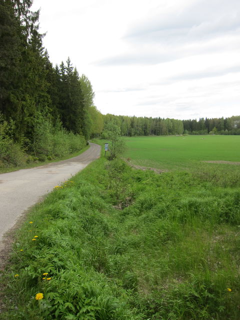 Grusvägen in till naturreservatet.