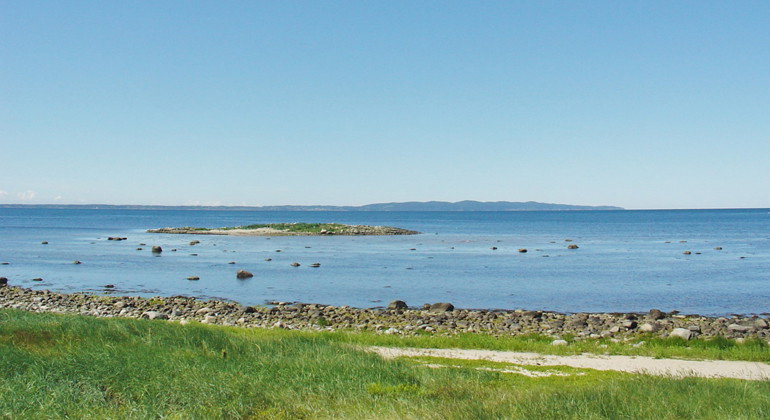 Fågelskyddsområdet Inre Gryteskär.