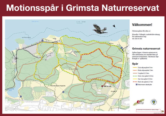 Gula eljusspåret - Grimsta