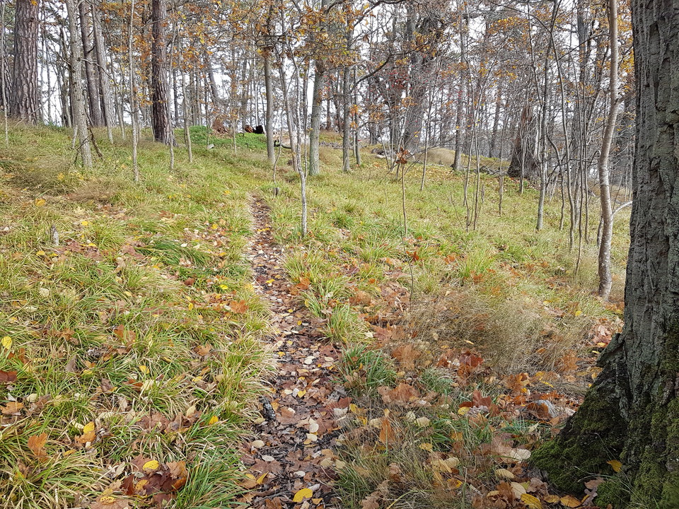 Ekskogskulle. Foto Lidingö stad.