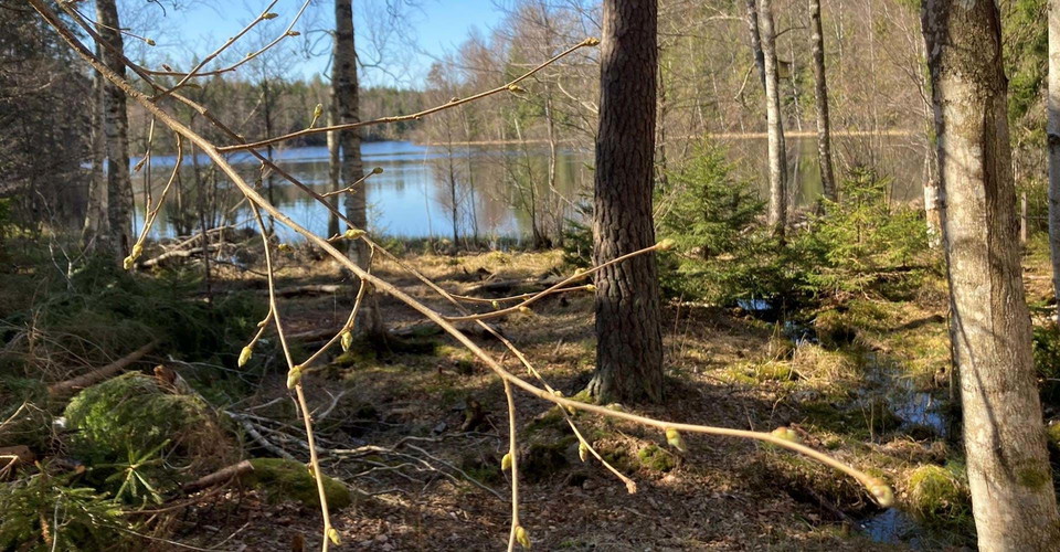 Vindskydd Långsjön Etapp: Falerum-Rumma