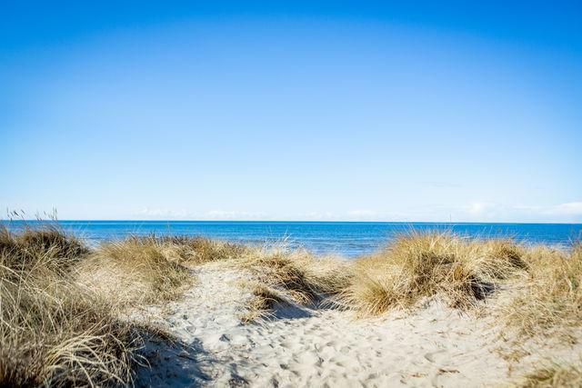 Beach, Ringsegård