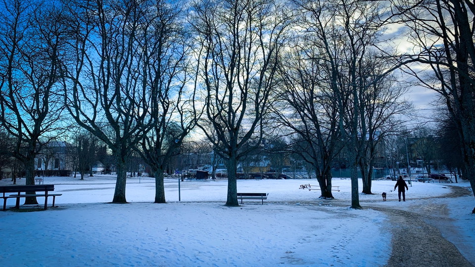 Park i Vaxholm med person rastar en hund.