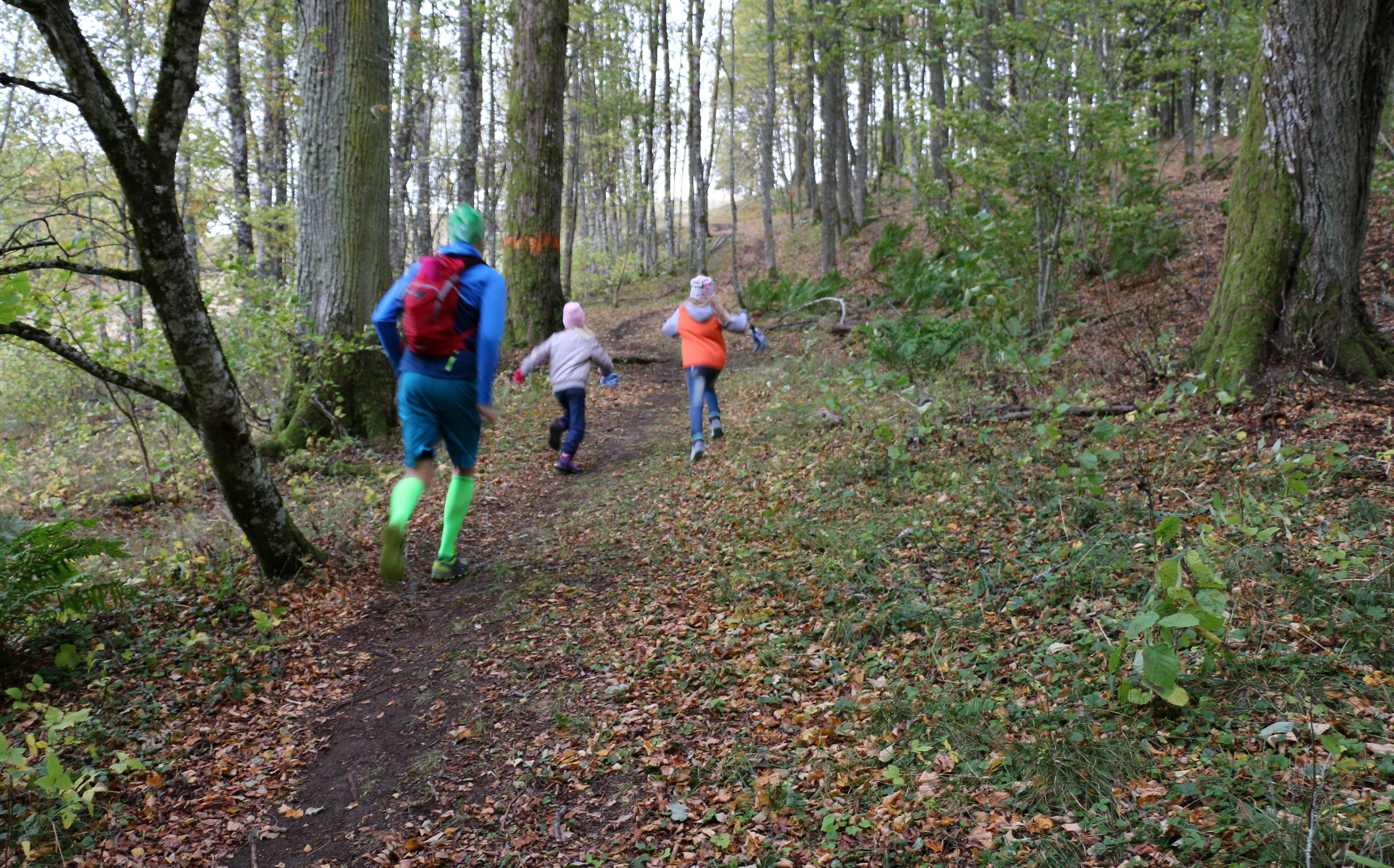 En vuxen person och två barn springer uppför en stig. Intill stigen finns ett orangemarkerat träd.