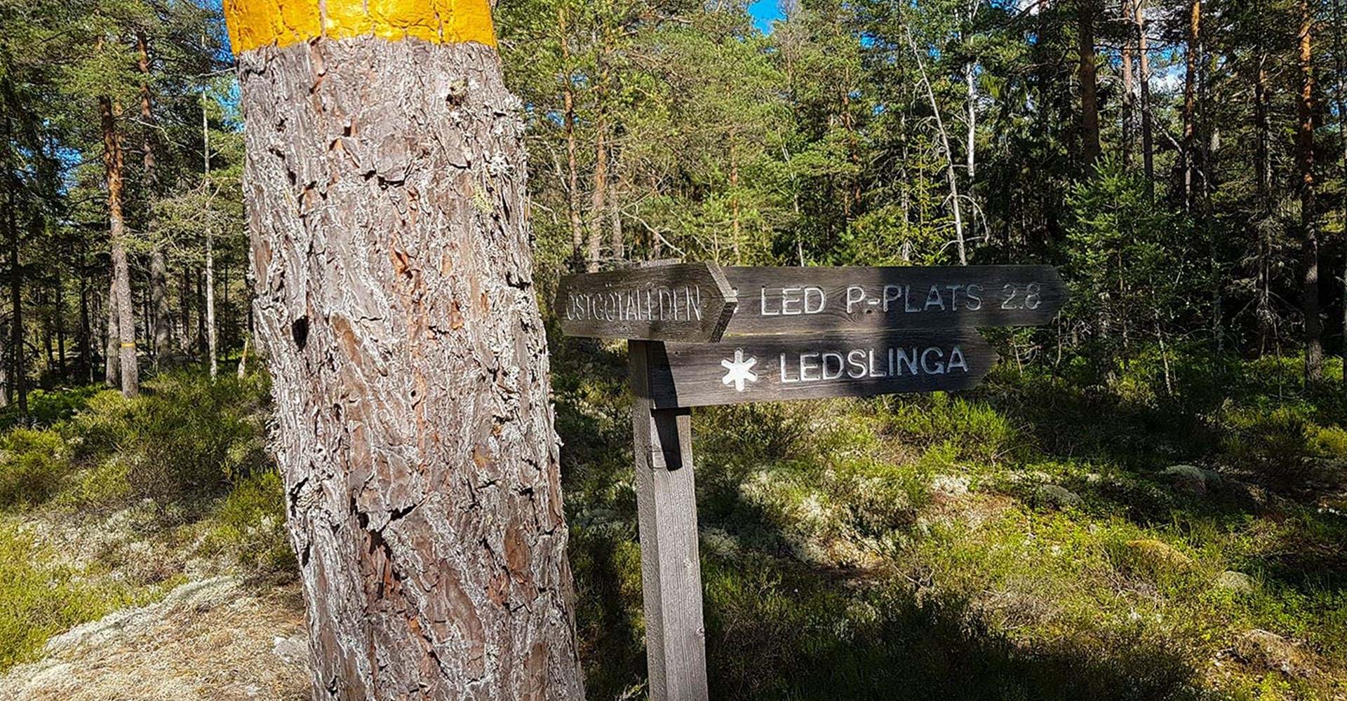 Kattedals naturreservat Etapp: Kattedals rundslinga, Valdemarsvik