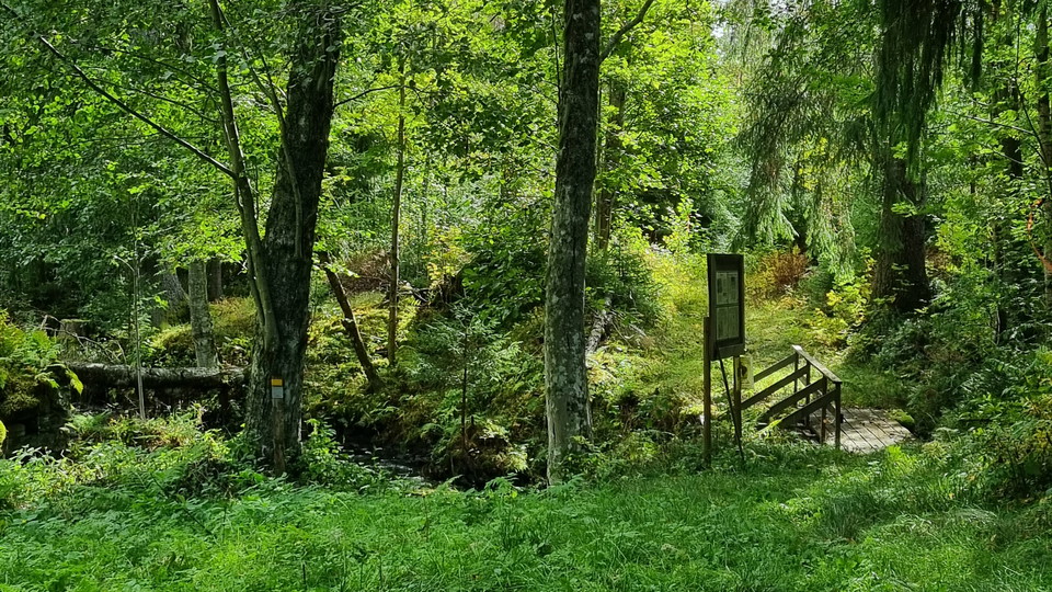 Gångbro mot söder vid Övre Bruket.