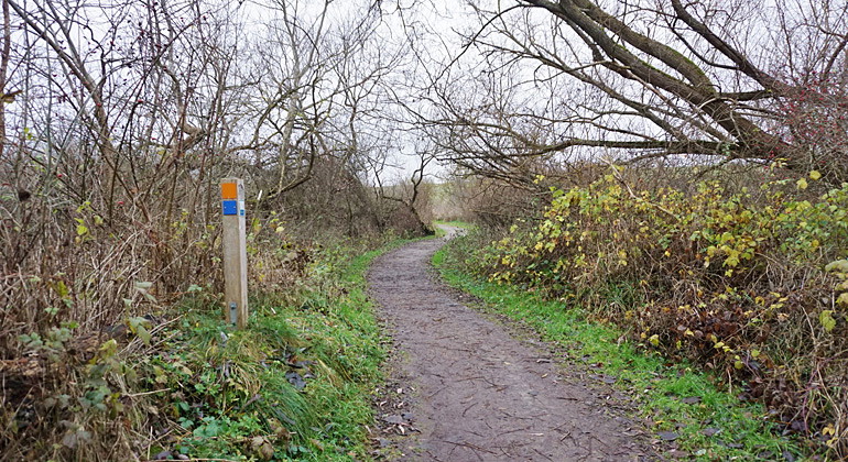 Linnérundan.