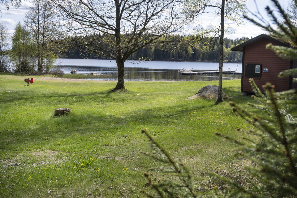 Gräs och lövträd, sjö och bryggor.