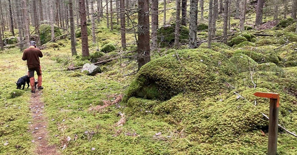 Grävsätters naturreservat