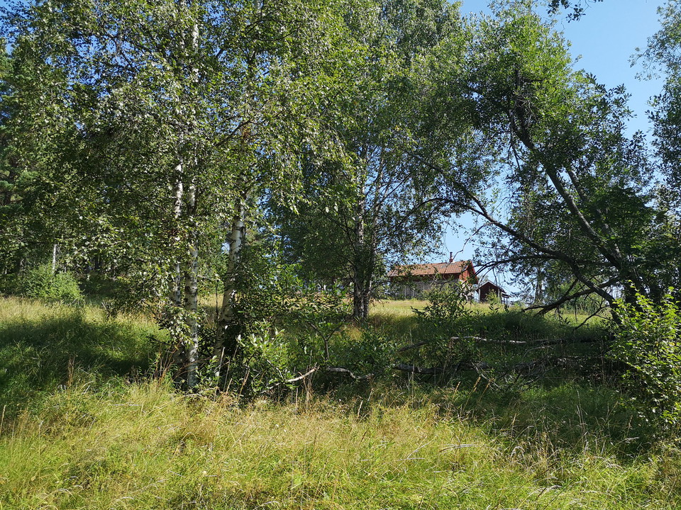 Vy upp mot rastplats