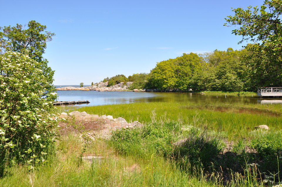 Fotograf: Mattias Holmquist