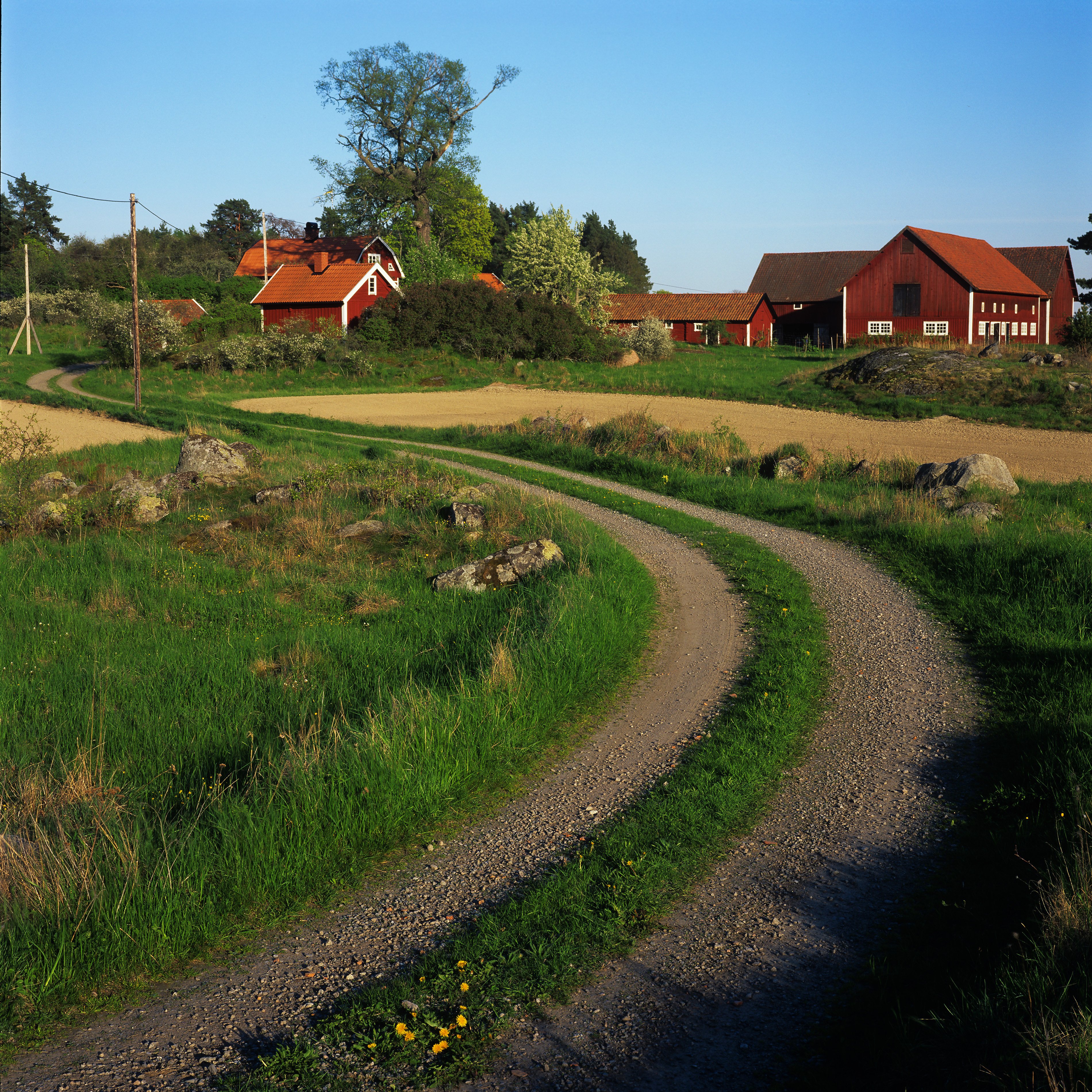 Västerås — Trail loop around Ängsö island 