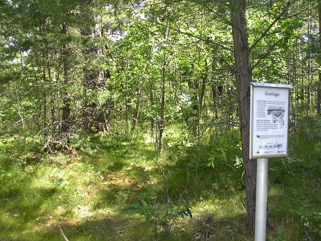 Rudalid. Forngravar, två högar.