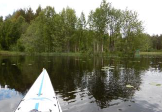 Korsåviken