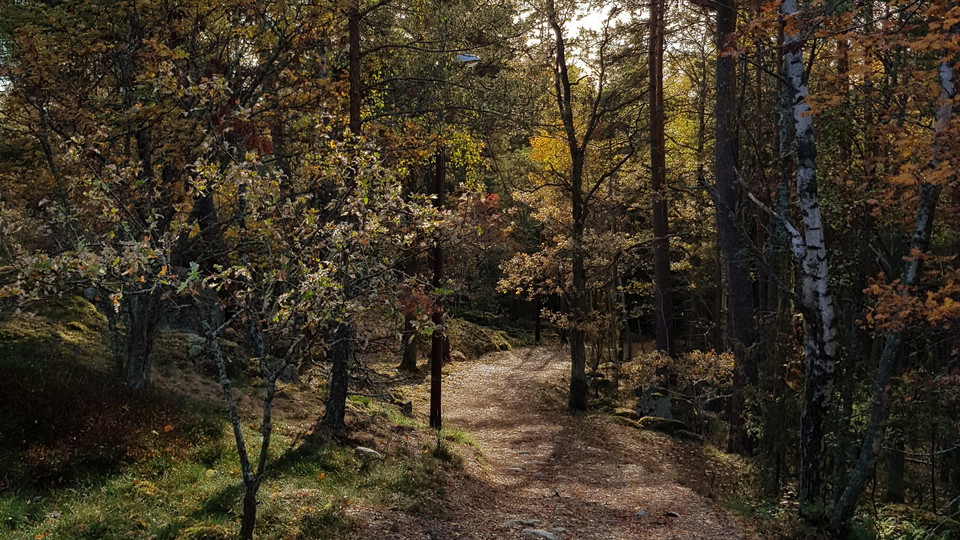 Motoionsspår på östra Bosön. Foto Lidingö stad