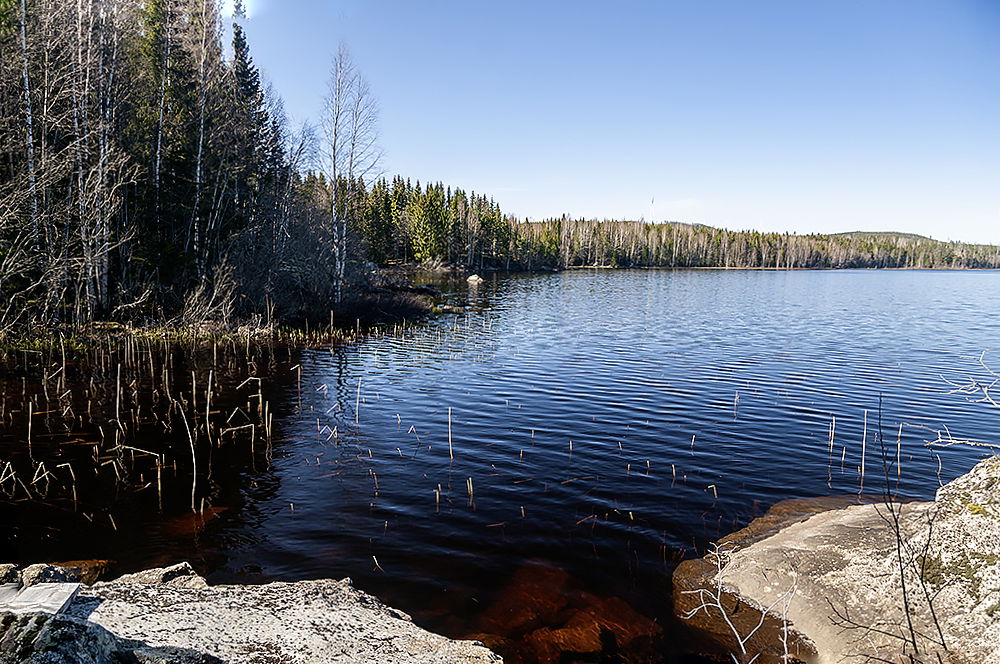 Hemsjön fiskebild