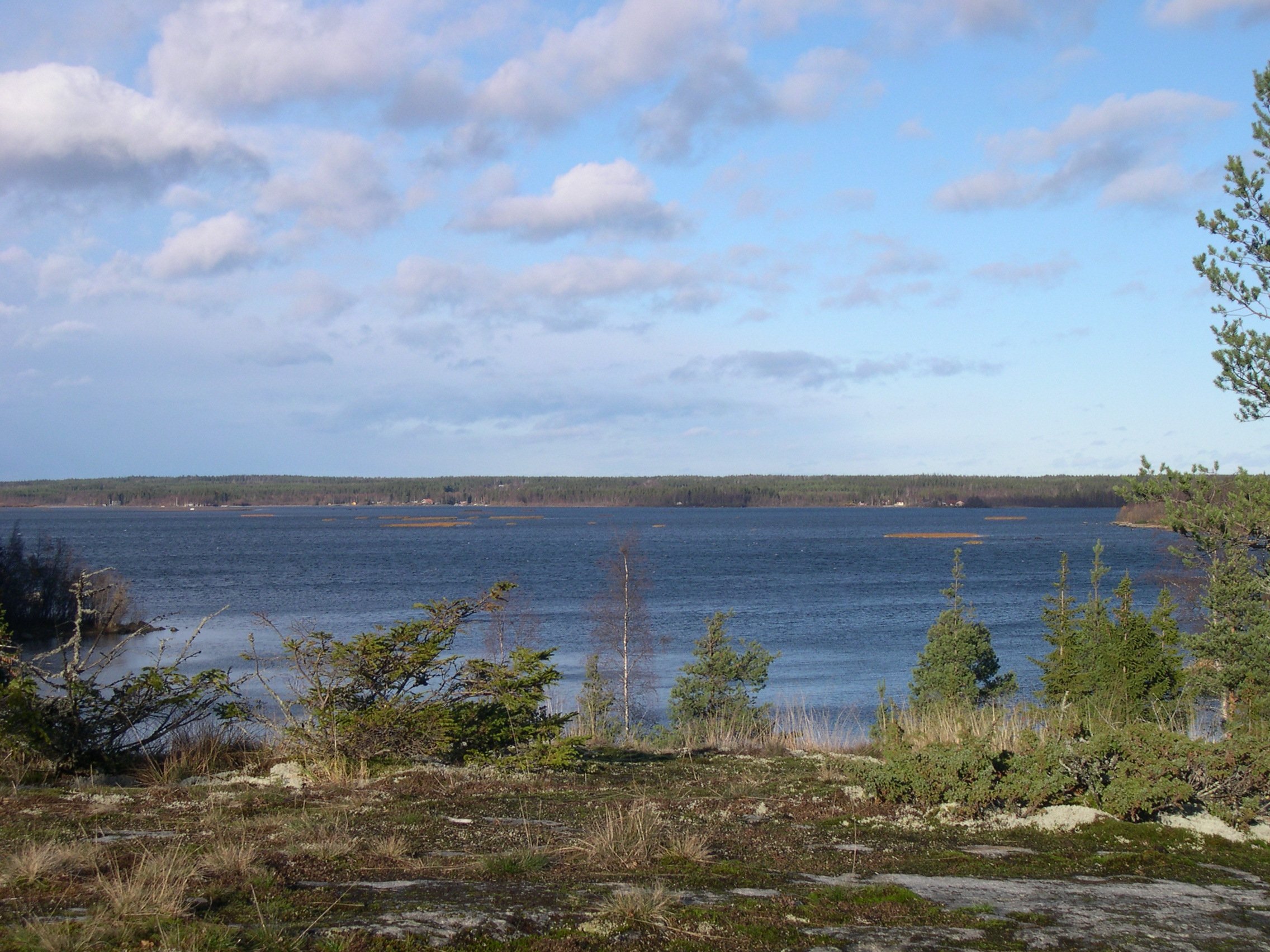 Holmen Umeälvens delta, vandringsled