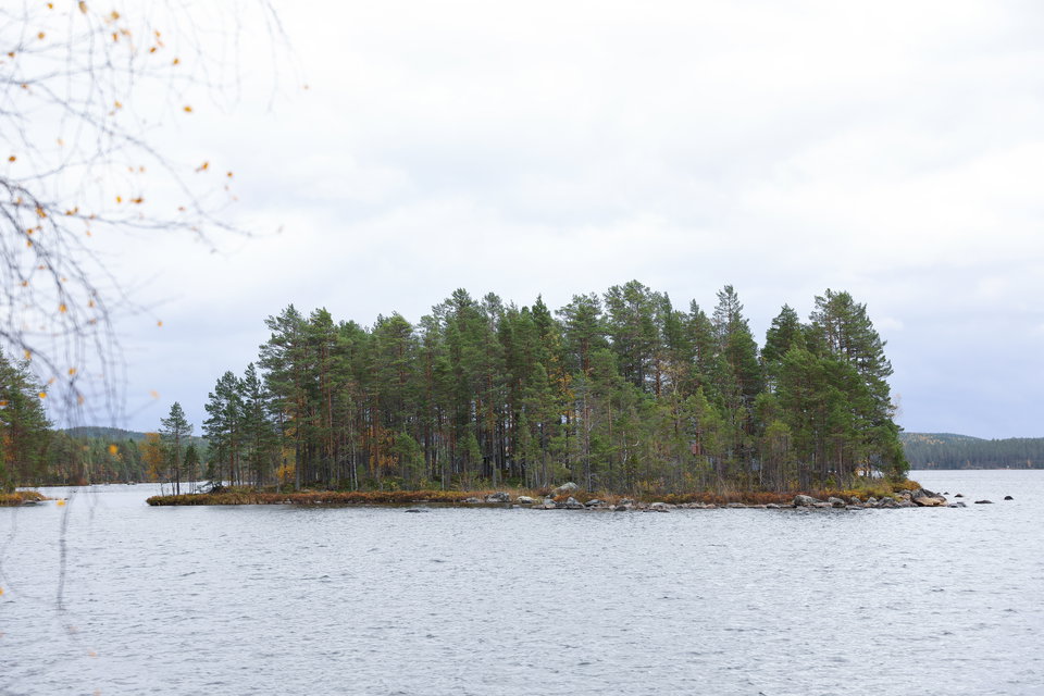 Foto: Khaled Zouroum 