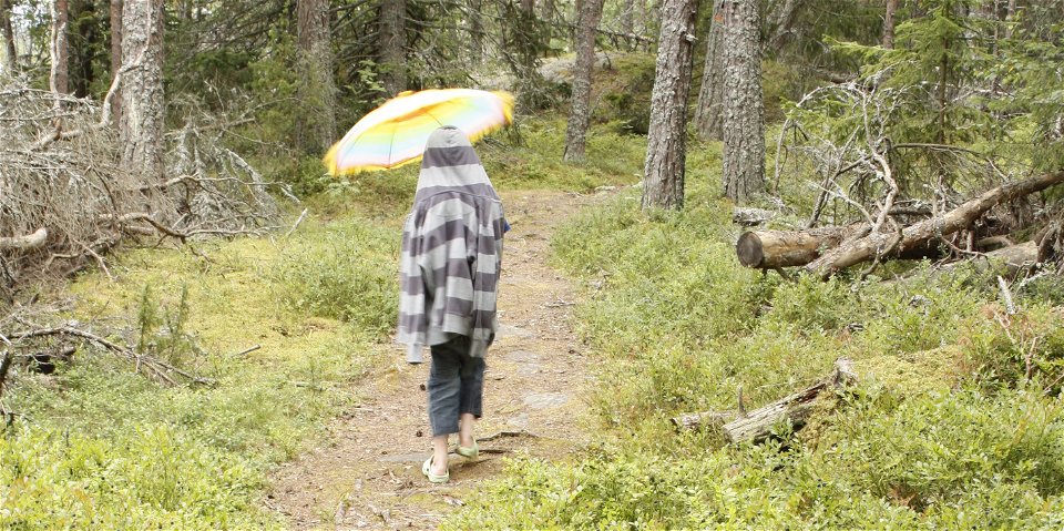Ett barn håller ett paraply och går längs med en ojämn skogsstig med rötter och stenar.