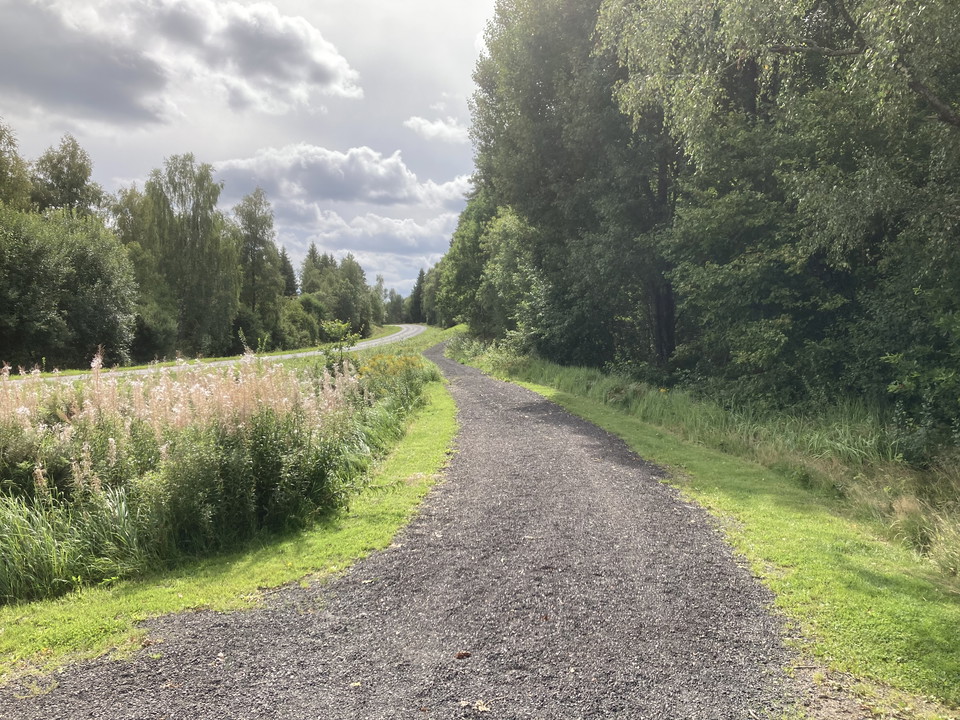 En grusväg som går längs med några träd.