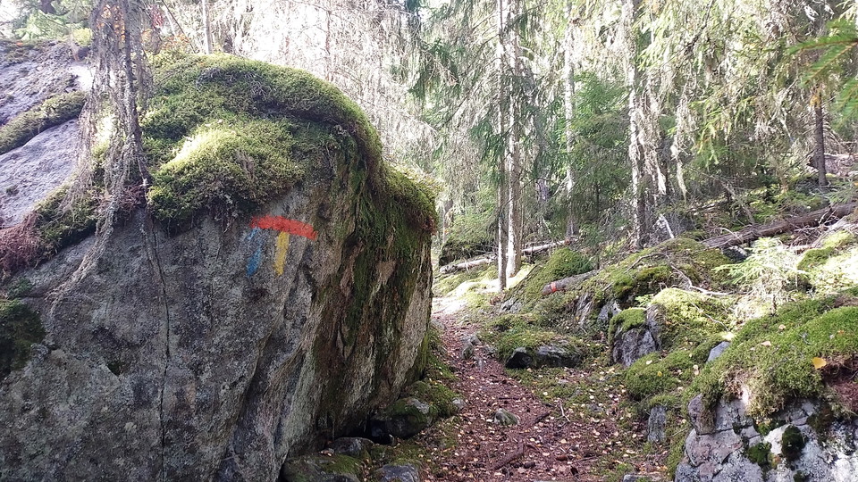Toppleden Färila