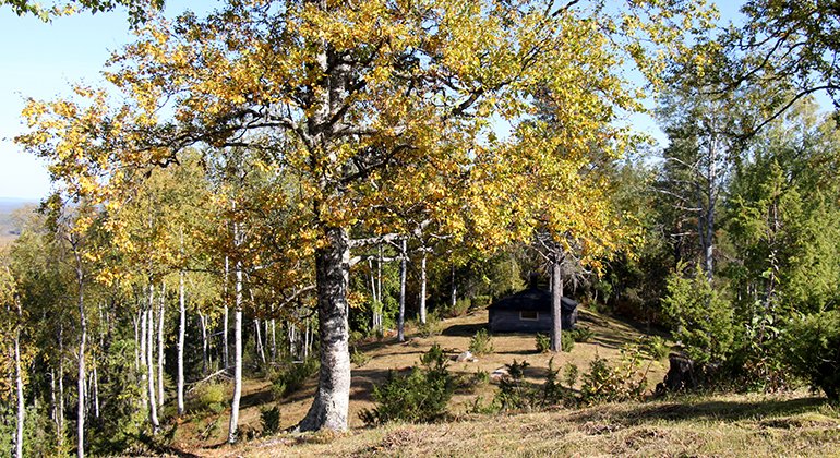 På toppen finns lövträd och Pajala kommuns raststuga.
