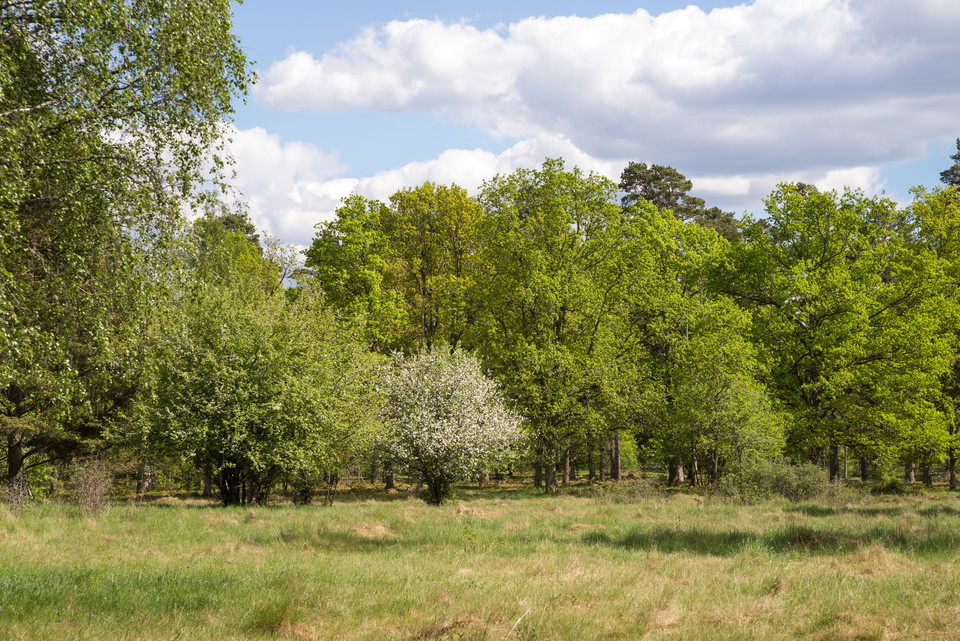 Fotograf: Tobias Ivarsson