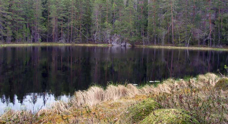 Tosjön i Mårsätter.