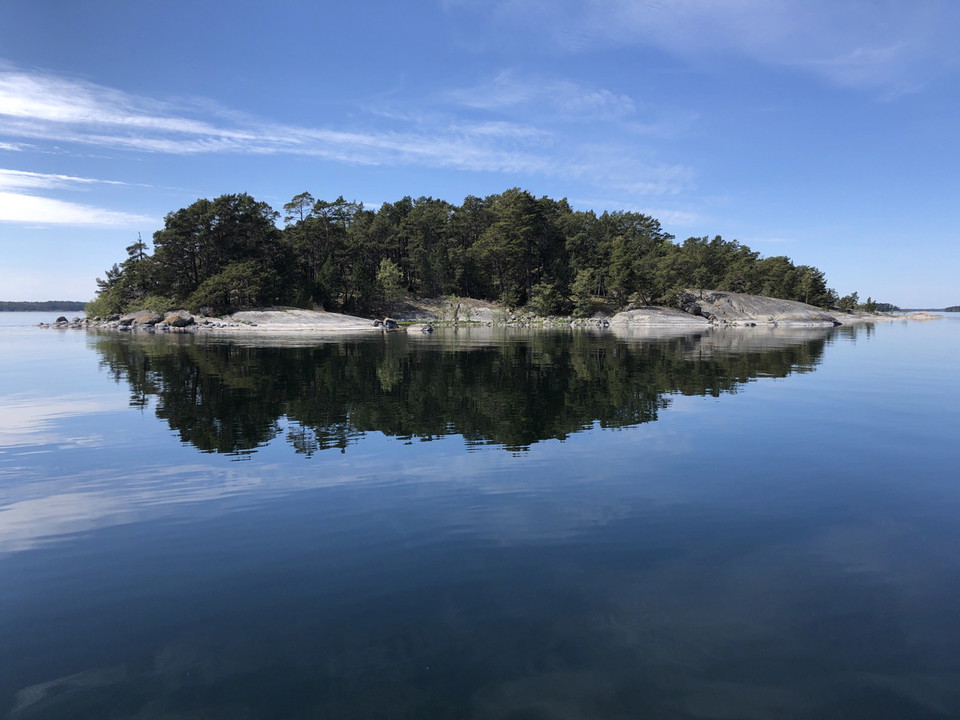 Lilla Svedjeholmens naturreservat