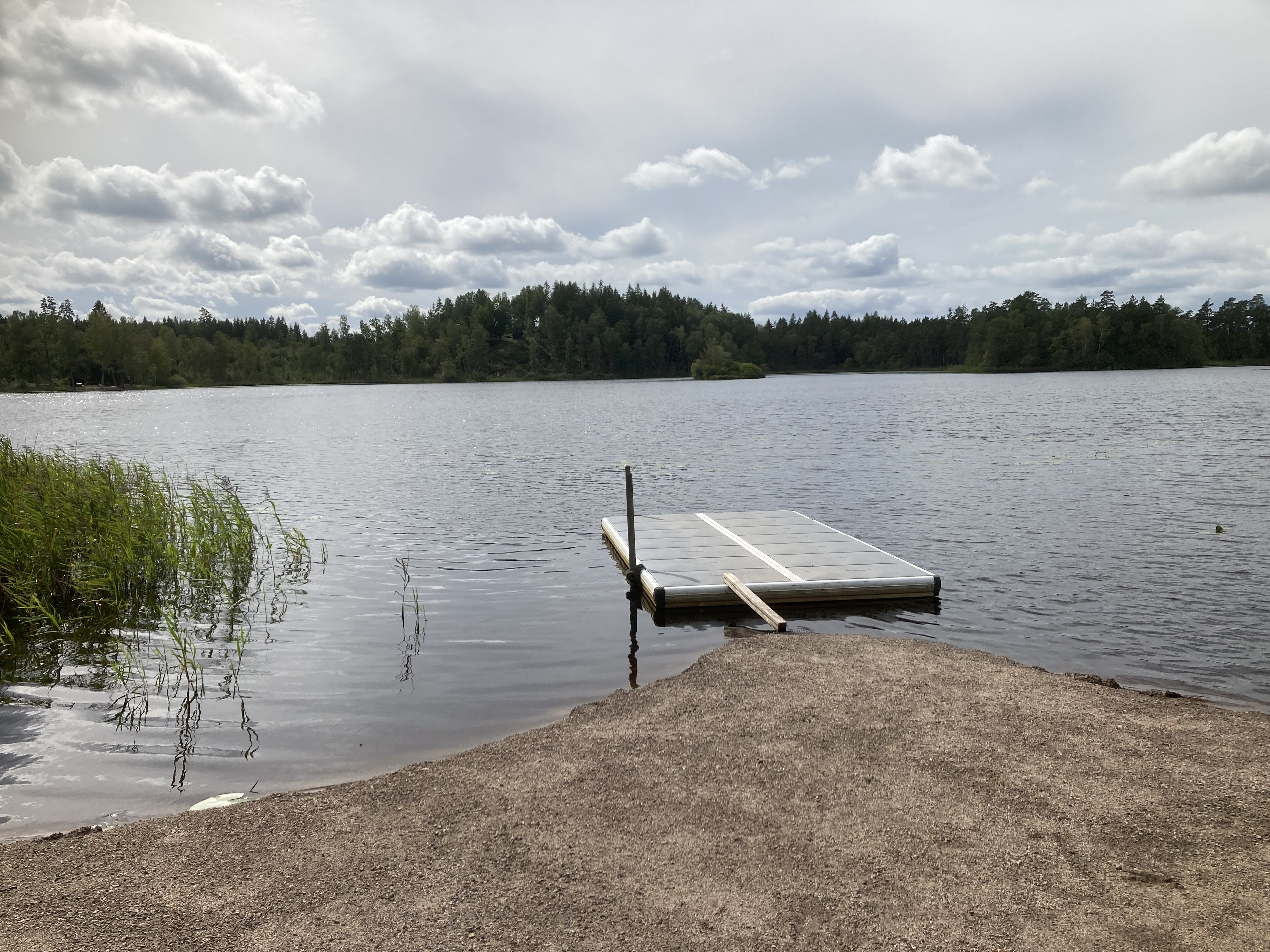 En flytbrygga i en sjö med skog i bakgrunden.