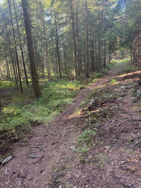 Bild: Hunneberg Sport och Motion 