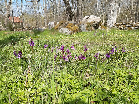 Flyeboda, Naturreservat