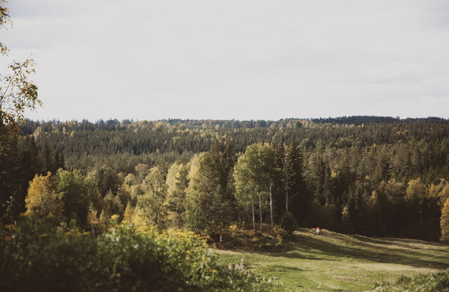 Lövhult (parkering)