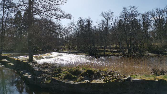 Forshalls Naturpark