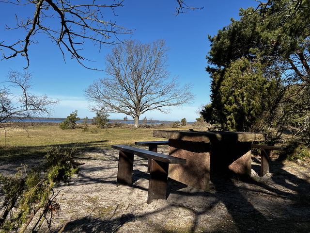 Bord, Trollskogen