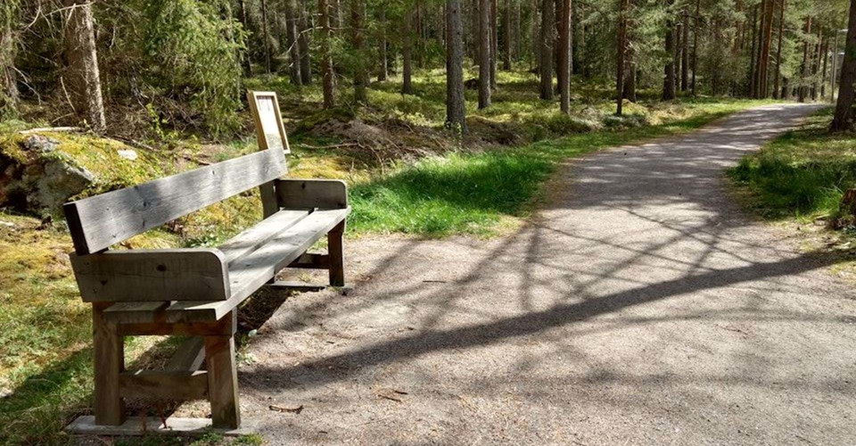 Etapp: Alboga - en gång för alla. Söderköping
Tillgänglighetsanpassad slinga