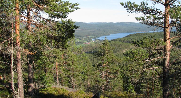 Milsvid utsikt från Järvsöklackens topp.
