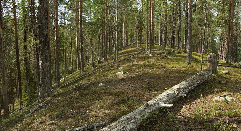 Odjursberget.