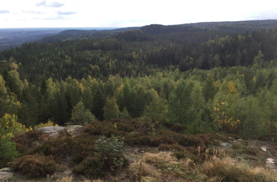 Vy över Ekopark Kilsbergen